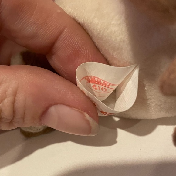 Collectible 1998 Ty Beanie Baby Wise Graduate Owl Class of 98 - Picture 6 of 7